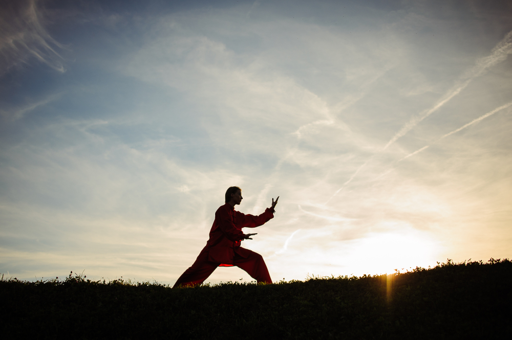 Le Tai-Chi-Chuan